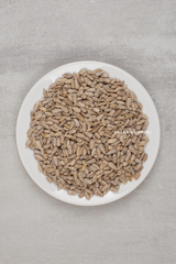 Organic Shelled Sunflower Seeds - Premium & Pure