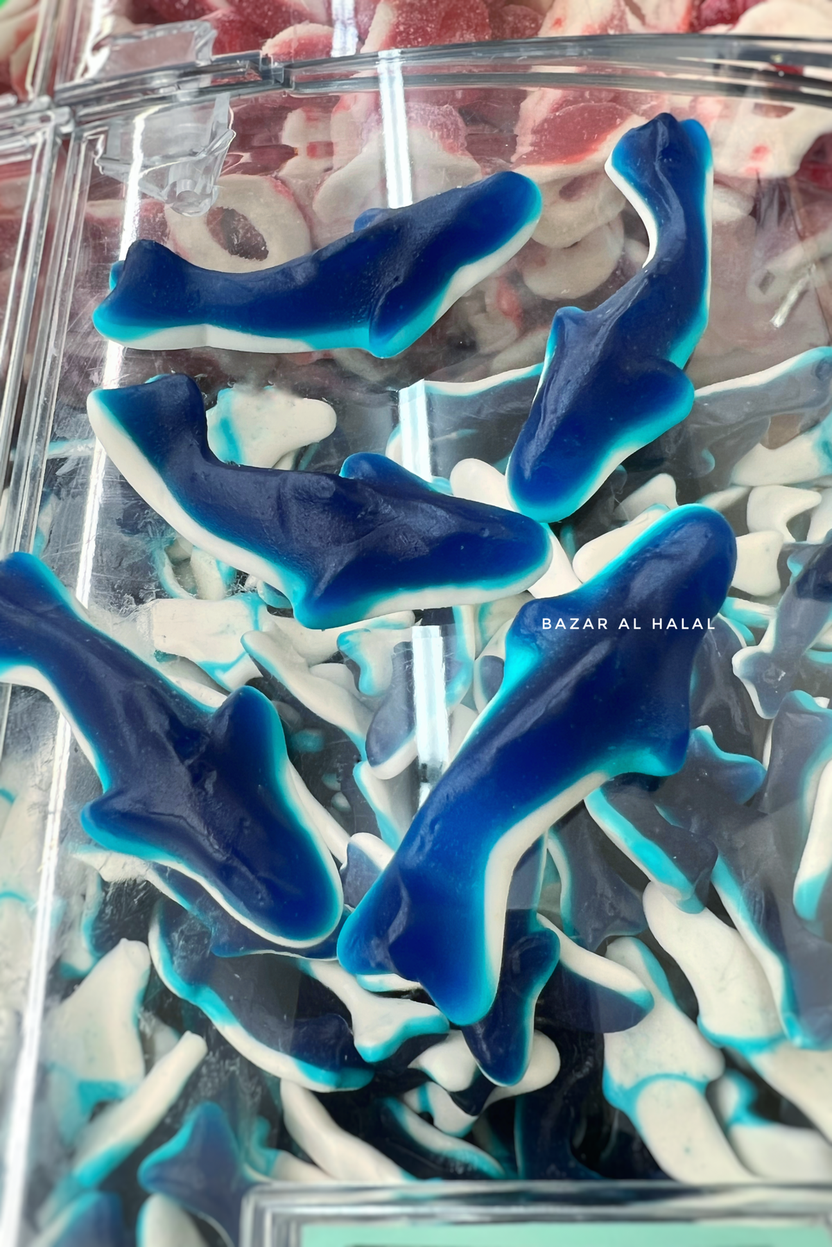 Halal Gummy - Foam Blue Sharks – Bazar Al Haya